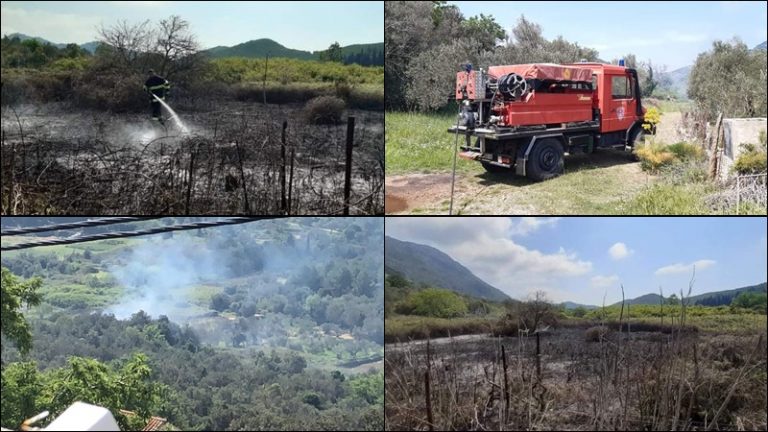 Zbog paljenja korova izbio požar na Mljetu