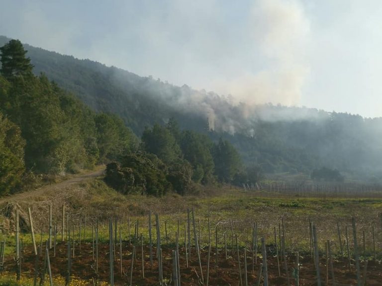 Vatrogasci odlaze iz Smokvice – šteta je velika, ali nije izgorjela niti jedna maslina ni loza