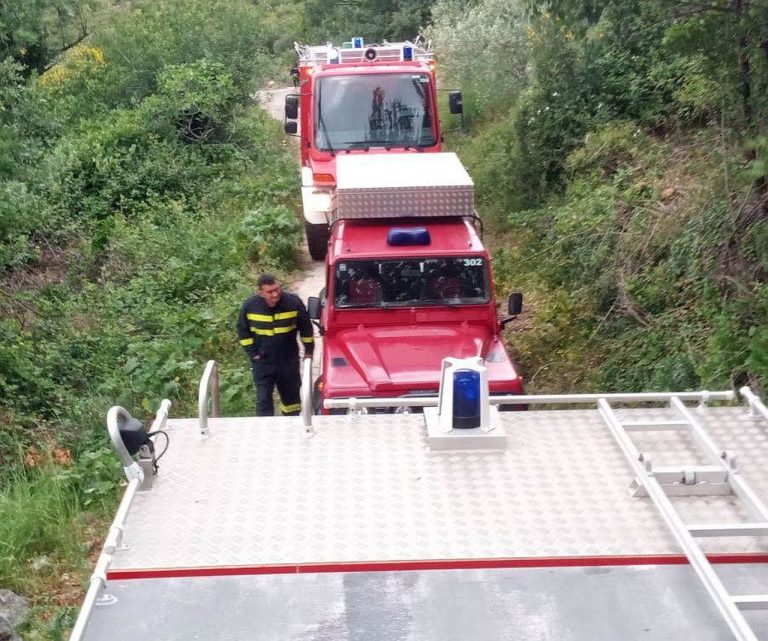 Brzom reakcijom vatrogasaca ugašen požar u Knežici