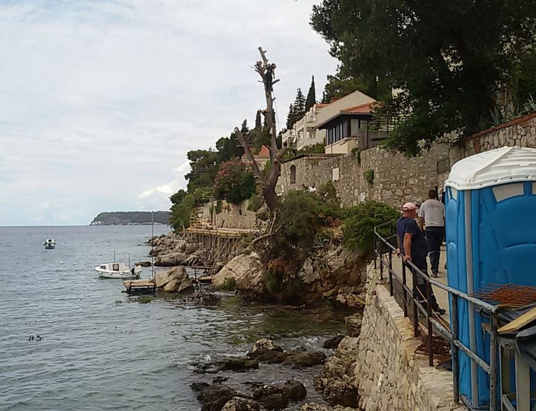 Nema više velikog bora na šetnici Nika i Meda Pucića