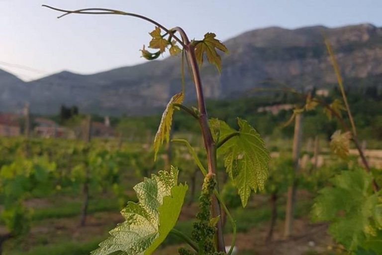 Produljen rok za prijave ulaganja u nepoljoprivredne djelatnosti u ruralnim područjima