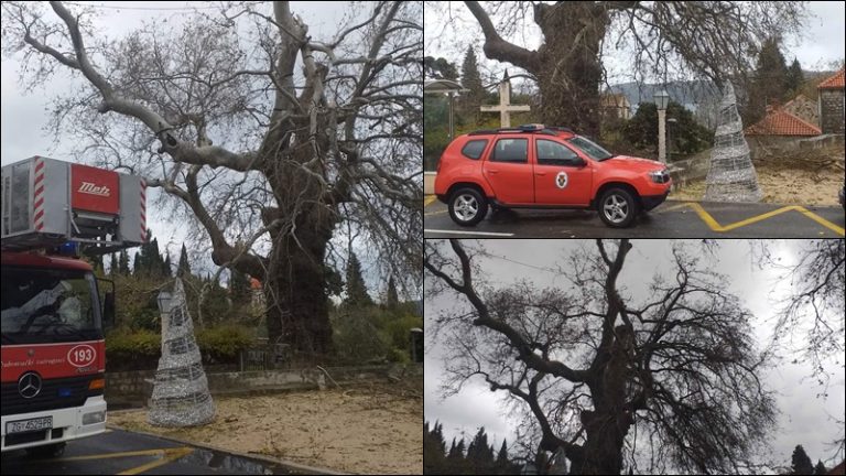 Vjetar odlomio granu platane u Trstenom, vatrogasci na terenu