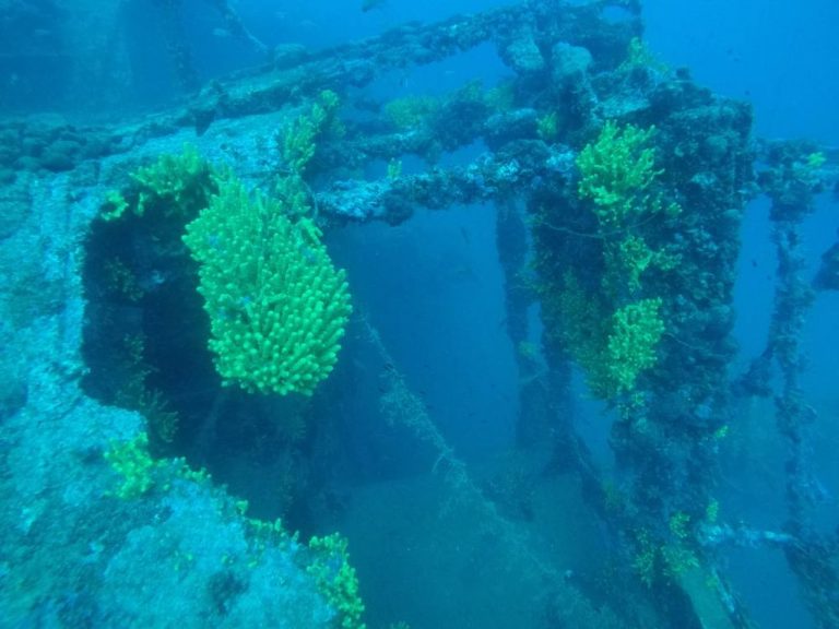 U akvatoriju Korčule i Lastova smrtno nastradale dvije žene tijekom ronjenja