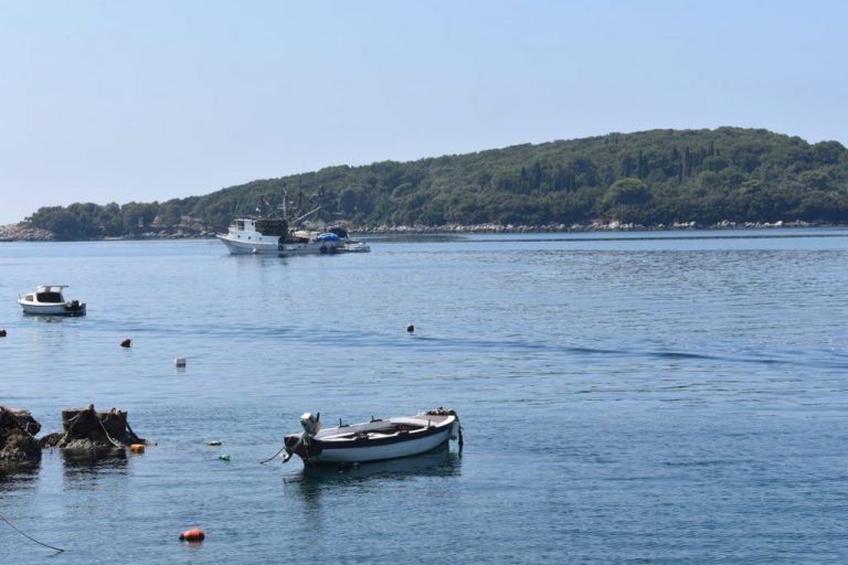 Načelnik Lasić od ministrice Vučković traži produženje uporabe tradicionalnih mreža potegača