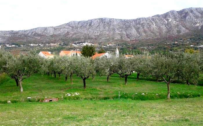 Općina Župa dubrovačka dodjeljuje potpore za nabavku gnjoja i zaštitnih sredstava