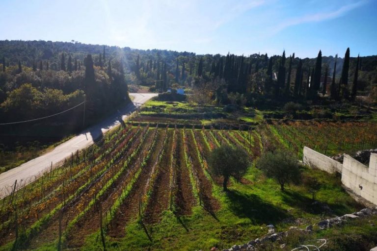 KONAVLE SE OKREĆU POLJOPRIVREDI – Pripremaju potpore za ruralni razvoj