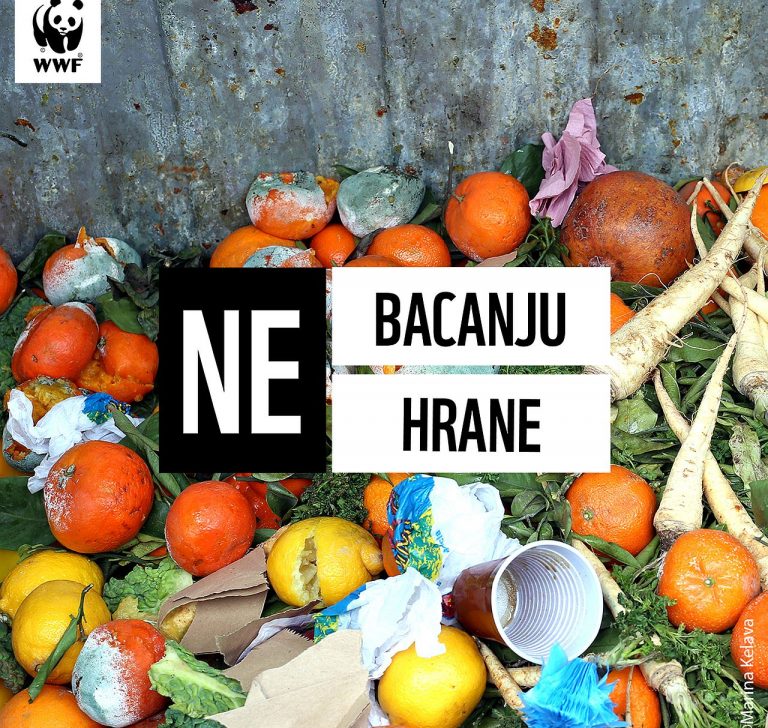 #NEbacanjuhrane! Na svijetu je oko 850 milijuna pretilih i devet milijuna ljudi koji umiru od gladi