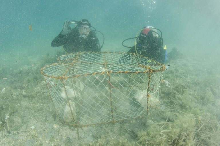 IPAK IMA NADE: Kraj Lastova pronađena živa periska Željka