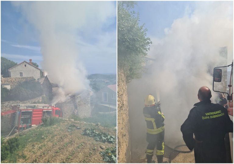 Brzom intervencijom vatrogasci ugasili požar u Martinovićima