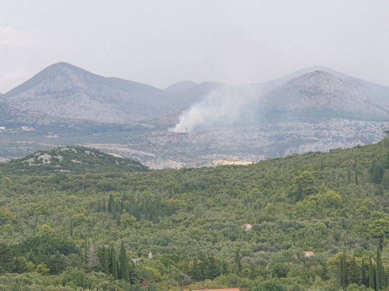 Udar groma između Majkova i Dubravice izazvao šumski požar