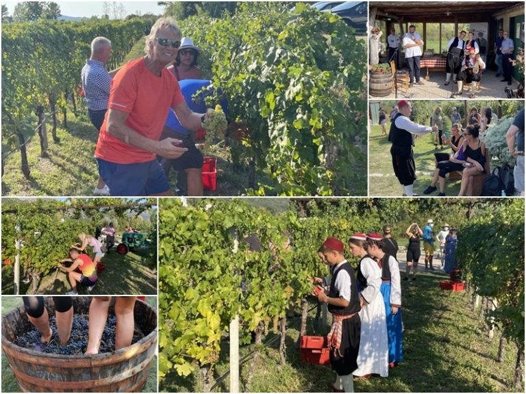 FOTO: Idealan dan za tradicionalno trganje u Konavlima!