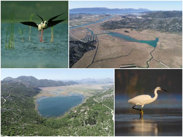 Izrađen Prijedlog Plana upravljanja zaštićenim područjima i područjima ekološke mreže Delta Neretve