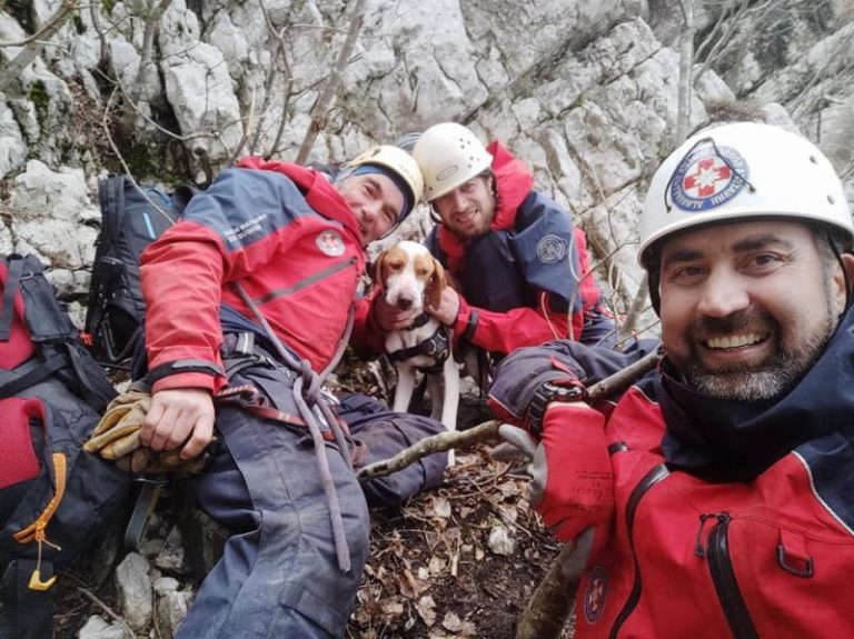 U tri dana HGSS-ovci iz Orebića spasili dva psa