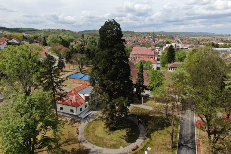 Podržimo stoljetnog diva iz Slavonije u natjecanju za Europsko stablo godine