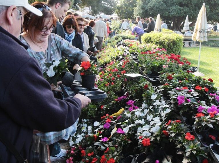 DUBROVNIK FLOWER MARKET Idući vikend rezerviran je za cvijeće