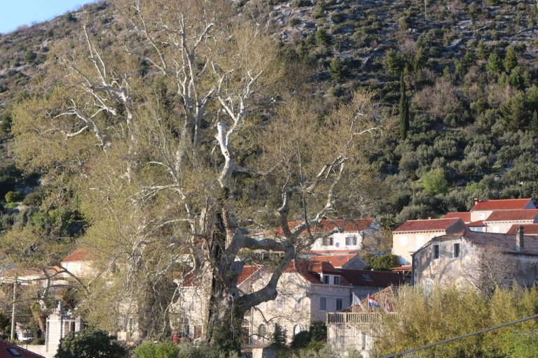 Objekt vrtića u Trstenom pretrpio manja oštećenja