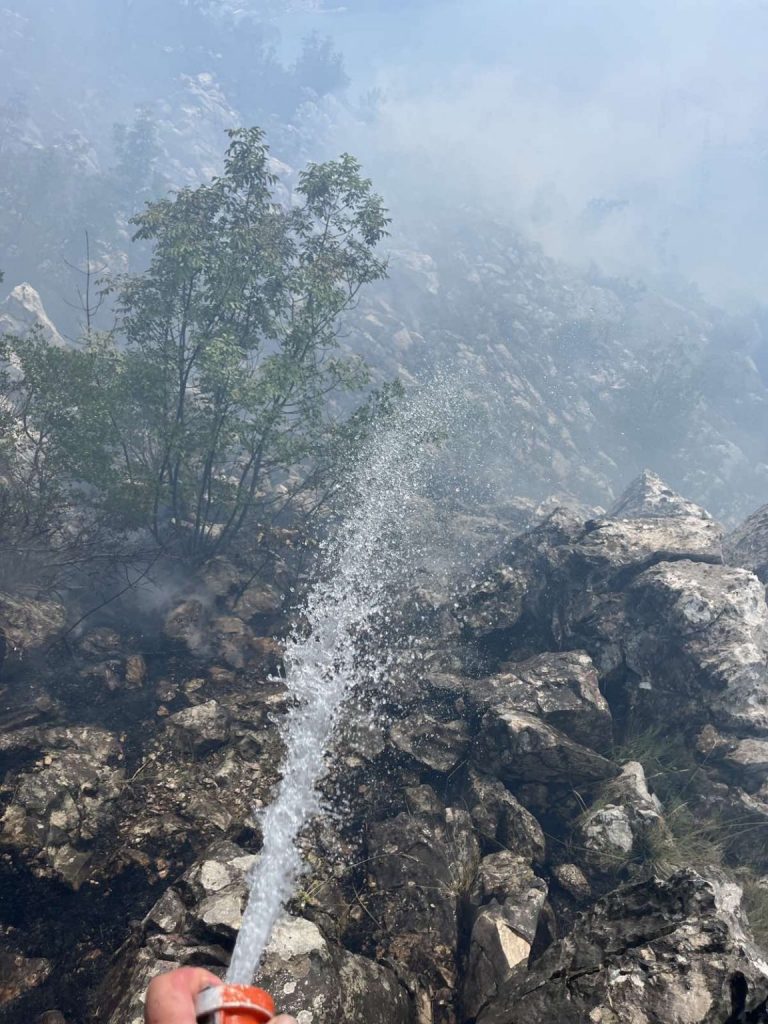 FOTO: Zapalili se šuma i nisko raslinje poviše HE Plat, vatrogasci na terenu