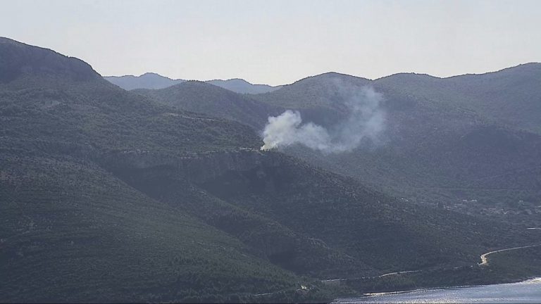 Brzom intervencijom vatrogasaca lokaliziran požar kod Dubravice