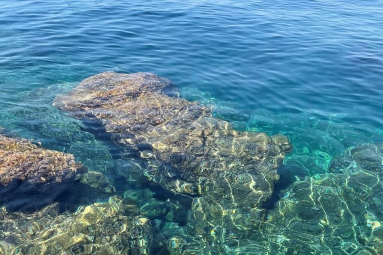 REZULTATI ISPITIVANJA More na plažama u Staroj Mokošici i Moluntu ocijenjeno kao zadovoljavajuće