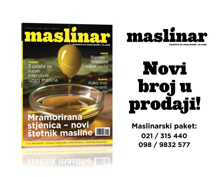 Novi broj najboljeg maslinarskog časopisa Maslinar