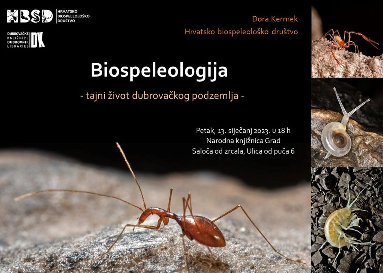 Predavanje Dore Kermek na temu “Biospeleologija: tajni život dubrovačkog podzemlja”