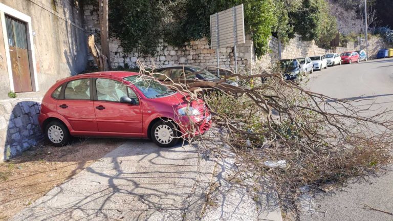 Vatrogasci jutros imali 12 intervencija