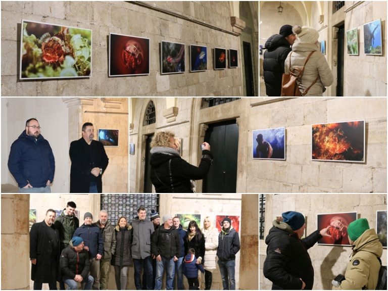 Otvorena izložba fotografija s Prvenstva Hrvatske u podvodnoj fotografiji