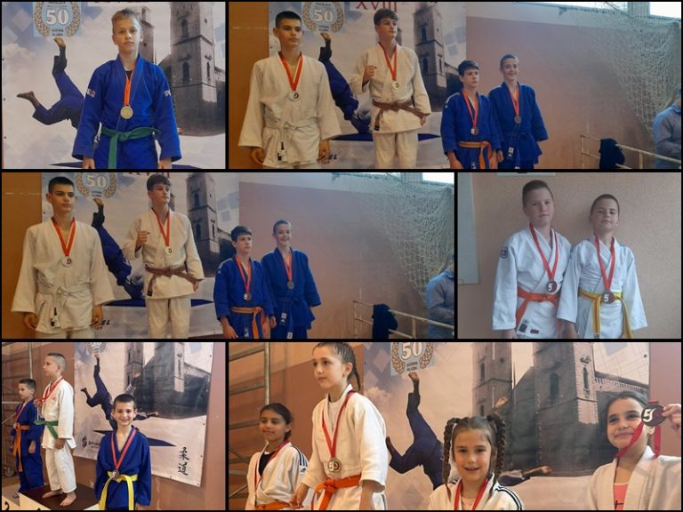 Mali Župljani se vratili iz Kotora sa sedam judo medalja