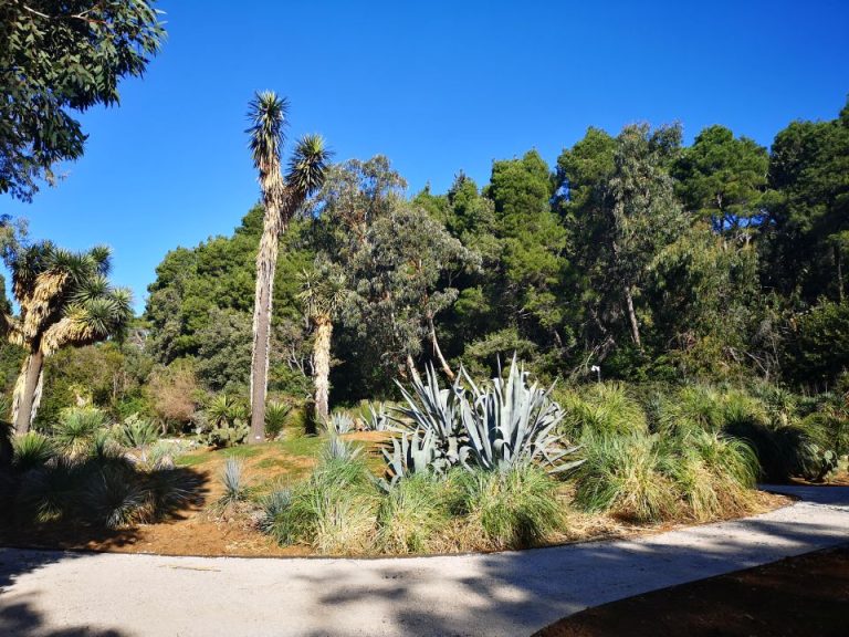 Dani botaničkih vrtova, arboretuma i botaničkih zbirki Hrvatske na Lokrumu