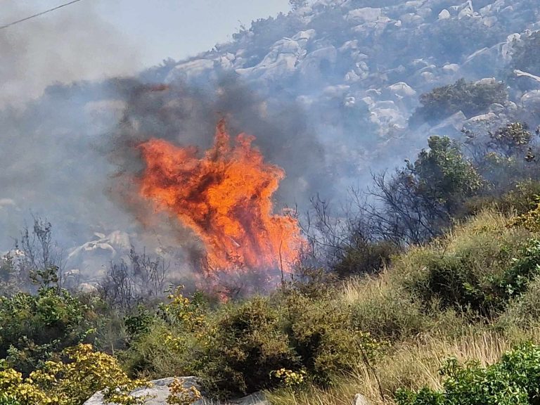 Zbog toplinskog vala velika opasnost od izbijanja požara, građanima se savjetuje dodatan oprez