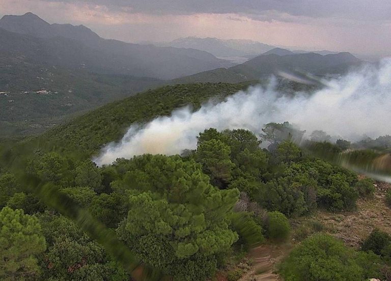 Brzom akcijom konavoskih vatrogasaca lokaliziran požar na Ilijinom brdu