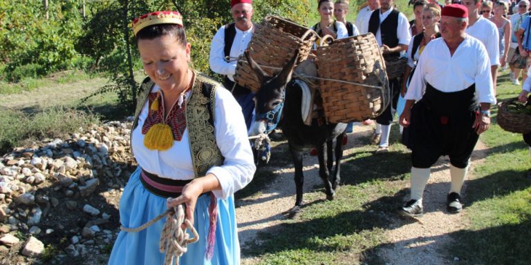 Počinje trganje u Konavlima