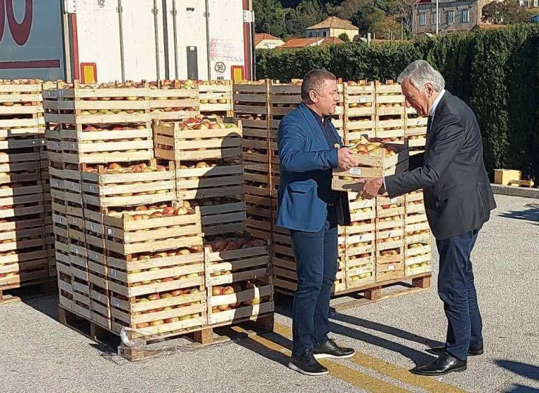 Božićni dar Vukovarsko-srijemske županije – 10 tona jabuka stiglo u Dubrovnik