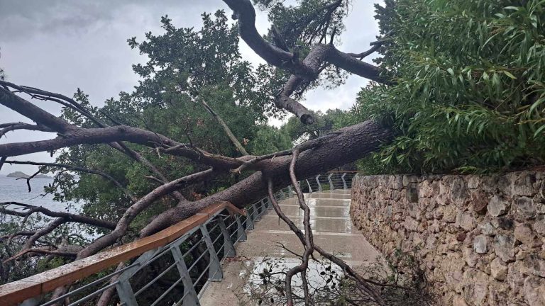 FOTO Šetalište Nika i Meda Pucića blokirano zbog srušenog stabla