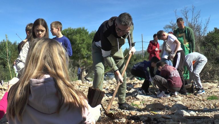 TV: Akcija pošumljavanja Žarkovice gradske uprave i osnovnoškolaca