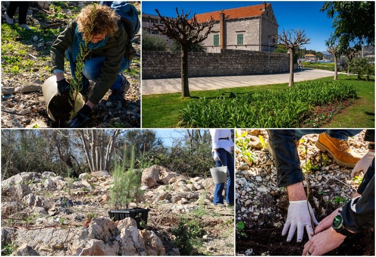 Gradu odobrene 33 tisuće eura za izradu Strategije zelene urbane obnove