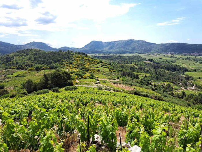 O tradiciji vinarstva i vinogradarstva u Hrvatskom zagorju u Muzeju u Putnikovićima