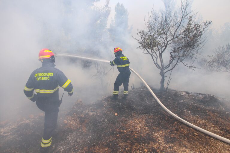 Brzom intervencijom vatrogasaca ugašen požar poviše Orebića