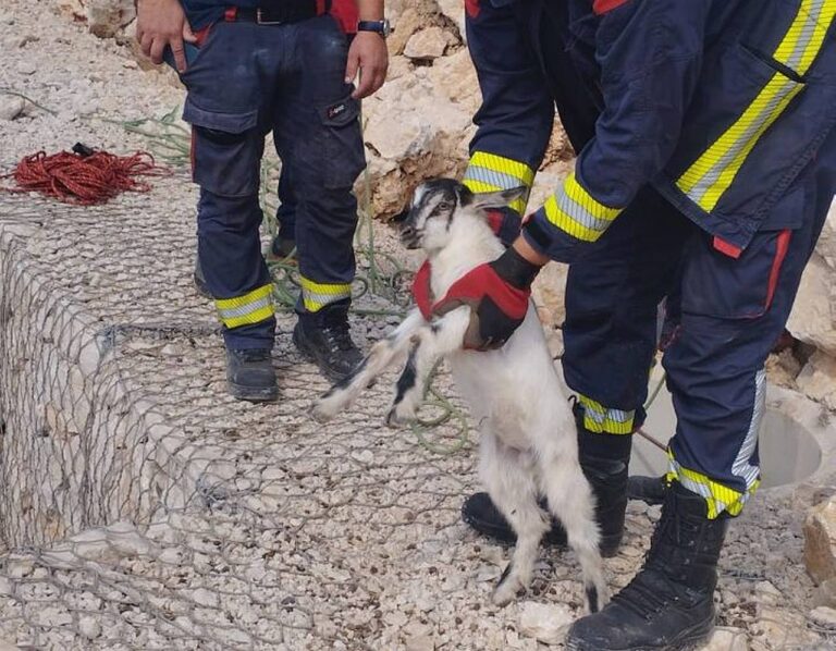 Vatrogasci i HGSS-ovci spasili kozlića na Dubcu