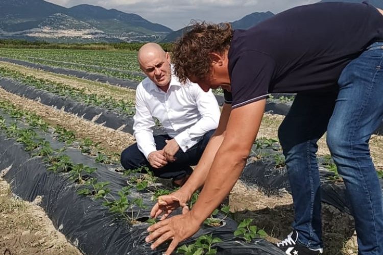 Ministar Dabro na radnom sastanku i obilasku proizvođača doline Neretve