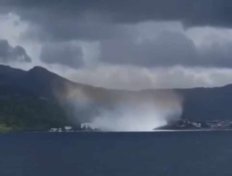 VIDEO Pijavice na Korčuli i u Pelješkom kanalu