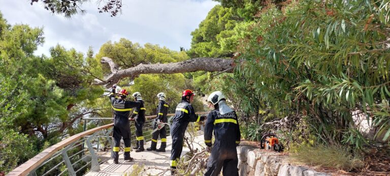 Palo stablo na šetnici u Uvali, vatrogasci na terenu