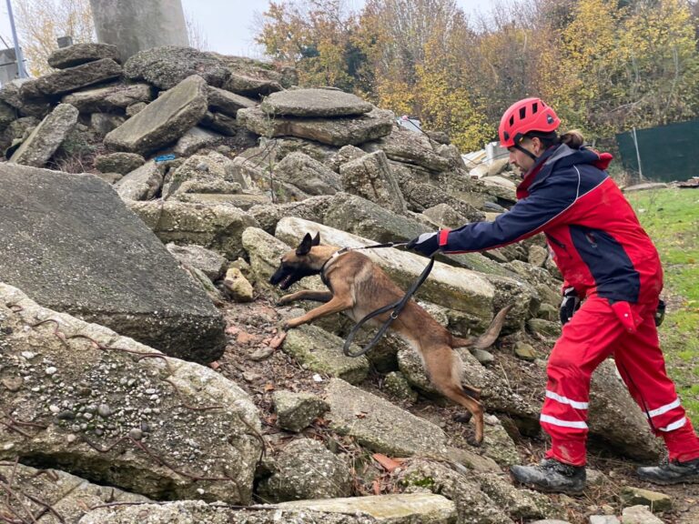 Nikola Surjan i Nora iz HGSS Orebić novi su potražni K9 tim