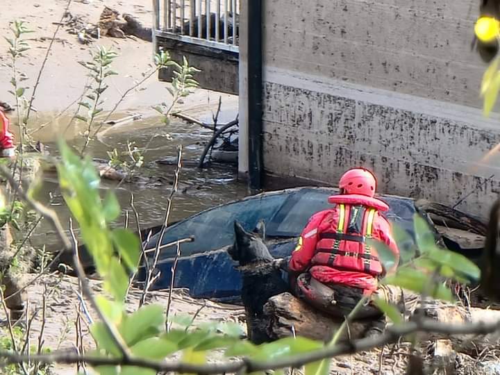 Pas Zara s Korčule pomaže u Jablanici, nažalost više se ne traga za živima